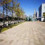 Zein Powder Factory - High Purity Corn Protein CAS 9010-66-6