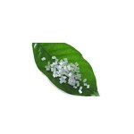 Polylactic Acid PLA Supplier - 100% Biodegradable Resin