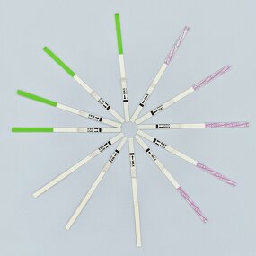 Legionella Antigen Rapid Test Raw Material Supplier - Legionella Ag Uncut Sheet Strip