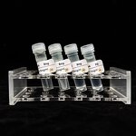 Glutamate-pyruvate Transaminase 1 Antibody Supplier - GPT1 mAb1