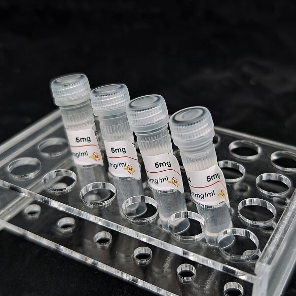 Glutamate-pyruvate Transaminase 1 Antibody Supplier - GPT1 mAb1