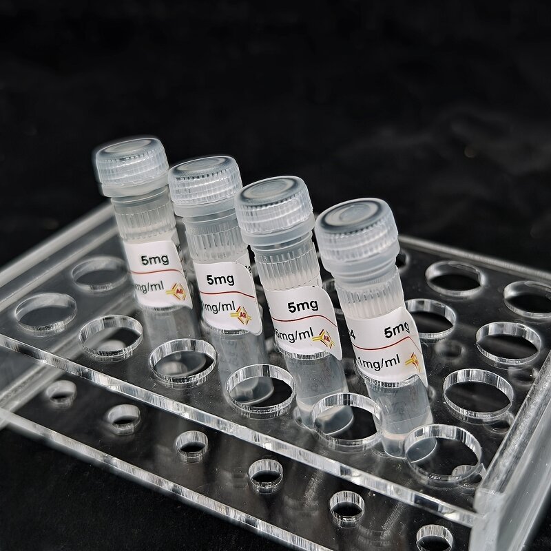 Glutamate-pyruvate Transaminase 1 Antibody Supplier - GPT1 mAb1