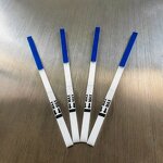 Legionella Antigen Rapid Test Raw Material Supplier - Legionella Ag Uncut Sheet Strip