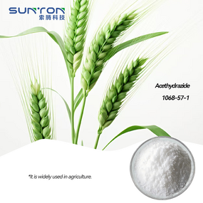 Acethydrazide Supplier - Organic Intermediate for Agriculture