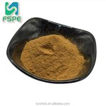 Oyster Extract Manufacturer - 10:1 Water Soluble Oyster Powder