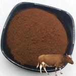 Cow Organ Powder Manufacturer - Grass-fed Offal Liver Heart Kidney