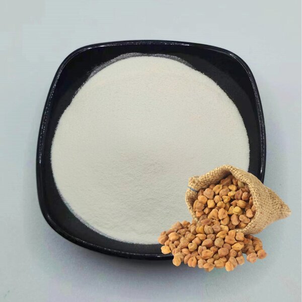 Chickpea Protein Powder Manufacturer - 80% Water Extracted Food Grade