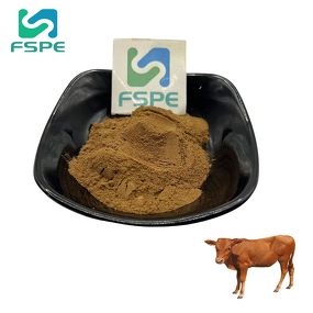Bovine Spleen Powder Manufacturer - Grass-fed Beef Spleen Extract