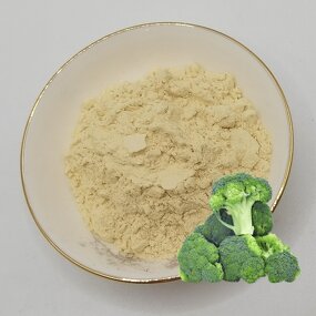 Sulforaphane Extract Factory - 1% Food Grade Broccoli Extract
