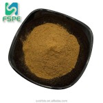 Oyster Extract Manufacturer - 10:1 Water Soluble Oyster Powder