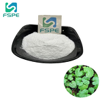 Centella Asiatica Extract Supplier - 80% Asiaticoside Glycoside Powder
