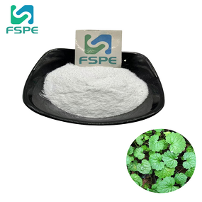Centella Asiatica Extract Supplier - 80% Asiaticoside Glycoside Powder