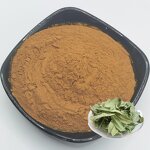 Apocynum Venetum Extract Supplier - 10:1 Water Extracted Food Grade