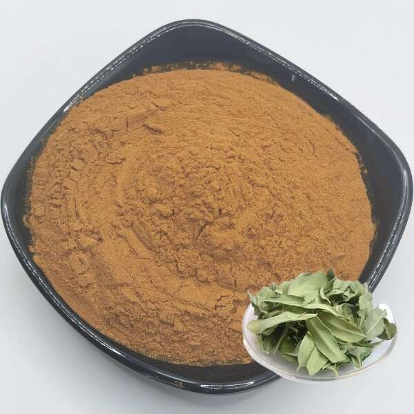 Apocynum Venetum Extract Supplier - 10:1 Water Extracted Food Grade