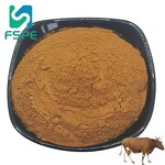 Ox Bile Extract Powder Manufacturer - Cholic Acid Concentrate Powder