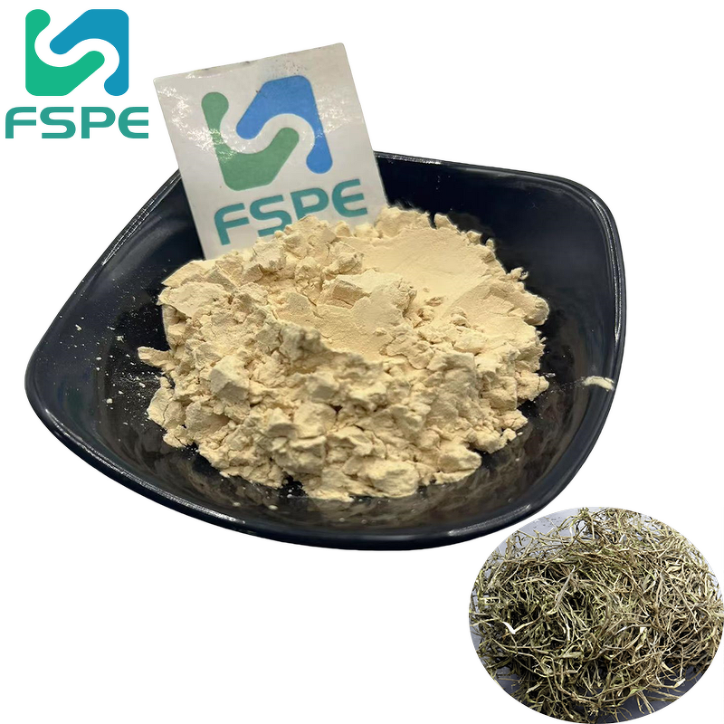 Salicin Powder Factory - 50% Salicin White Willow Extract