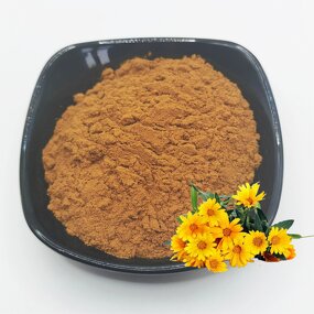 Wild Chrysanthemum Extract Factory - 2% Flavonoids Water-Soluble Powder