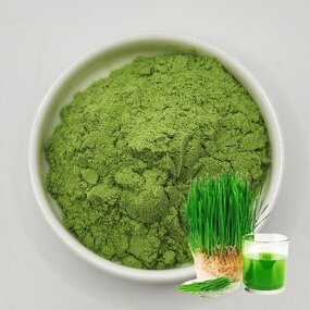 Barley Seedling Extract Supplier - 99% Food Grade Water Extracted