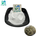 White Willow Bark Extract Supplier - 98% Salicin Natural Powder