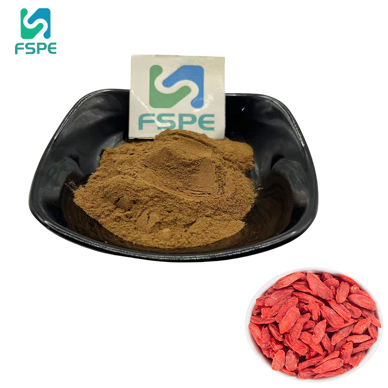 Wolfberry Extract Supplier - 30% Polysaccharide Lycium Barbarum