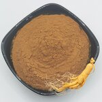 Ginseng Extract Powder Factory - Water Extracted Food Grade