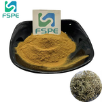 Salicin Powder Supplier - 15% White Willow Bark Extract