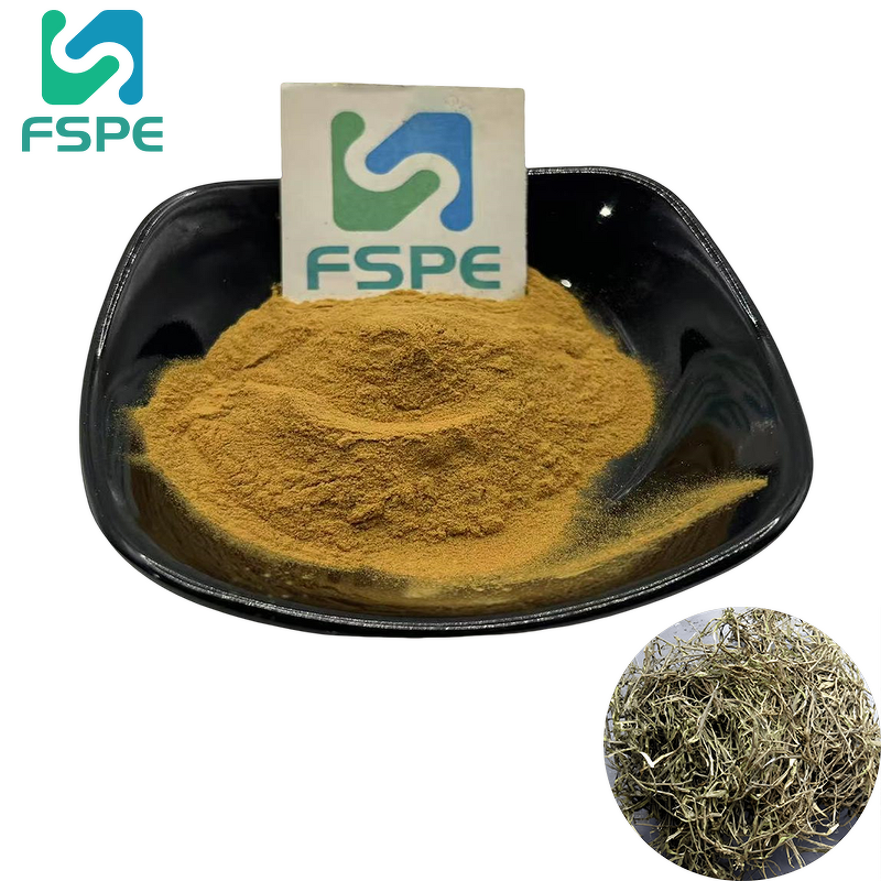 Salicin Powder Supplier - 15% White Willow Bark Extract