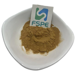 Ginger Root Extract Supplier - 1% Gingerol 4:1 Zingiber Officinale