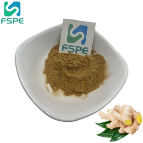 Ginger Root Extract Supplier - 1% Gingerol 4:1 Zingiber Officinale