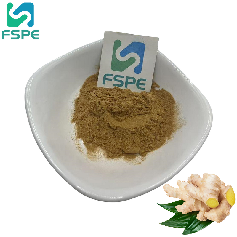 Ginger Root Extract Supplier - 1% Gingerol 4:1 Zingiber Officinale