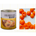 Canned Pineapple Fruit Supplier - Sweet and Sour Pulp with Fresh Sugar Water for Baking