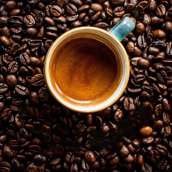 Malaysia Imported Instant Coffee Supplier - 2-in-1 3-in-1 Sugar Free Latte Strong Refreshing