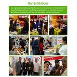 Croissant Frozen Food Manufacturer - French Small Croissant Baking Semi-finished