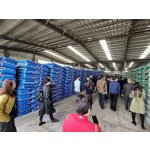 Automotive Grade Urea Manufacturer - Technical Urea for Industrial Use in South Africa