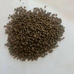 DAP Fertilizer Manufacturer - 18-46-0 Phosphate Fertilizer