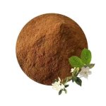 Sodium Lignosulphonate Supplier - Water Reducer Concrete Construction