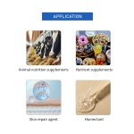 Calcium Pantothenate Manufacturer - High Quality Reasonable Price