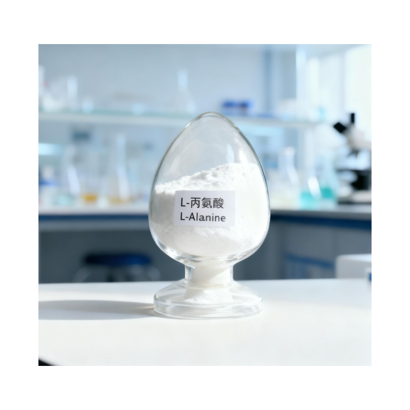 L-Alanine Powder Supplier - 99% Food Grade for Sports Nutrition