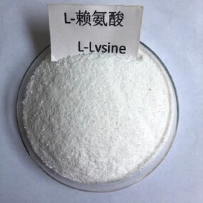 L-Lysine Sulphate Supplier - 70% Feed Additive Animal Grade