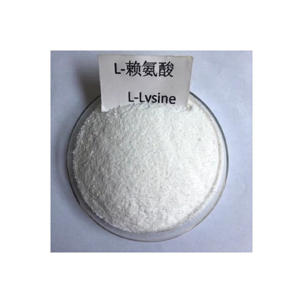 L-Lysine Sulphate Supplier - 70% Feed Additive Animal Grade