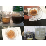 Sodium Alginate Supplier - Textile Grade Deodorizer Free Sample