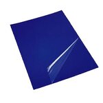 Anti-static Dust Mat Factory - Tearable PE Foot Mat for Dust-Free Workshop