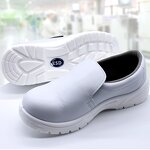 Work Safety Shoes Supplier - Food Factory Antistatic Dustproof Steel Toe