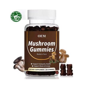 OEM  Pure Vegetarian and Lion Mane Mushroom Soft Candy Private Brand Sugar Free Mushroom Focus Puzzle Soft Candy