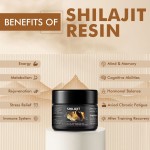 Private Label 30g Original Premium Quality Gold Himalayan Liquid Pure Organic Shilajit Resin