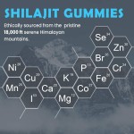OEM Private Label Bear Shape Organic Pure 1400mg Himalayan Shilajit Gummies Chaga Shilajit Ashwagandha Extract