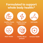 GMP Whole Food Non Gmo Super Daily Multivitamin Supplement Tablet Multi Vitamin c And Vitamin e Biotin And Multivitamin Tablets