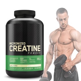 Factory Supply Creatine Monohydrate Powder Fast Muscle Building Micronized Fitness Sports Nutrition Creatine Powder Manufacture