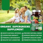 OEM Organic Super Food Greens Tablets Natural Fruit and Veggie Supplement with Alfalfa Beet Root Ginger Support Immunity Health
