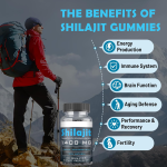 OEM Private Label Bear Shape Organic Pure 1400mg Himalayan Shilajit Gummies Chaga Shilajit Ashwagandha Extract